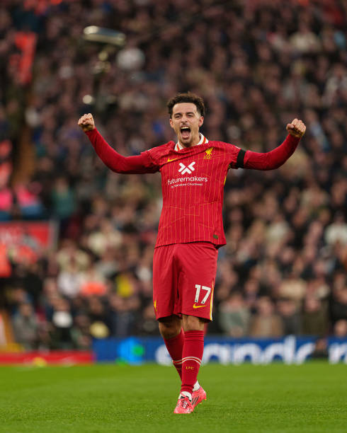 这些选手不 这些选手不