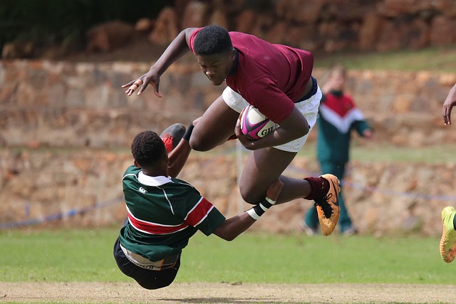 强有力的竞 强有力的竞